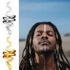 Wig, reggae, dreadlocks, Celtic accessories, Norwegian snake, crown, curved tube, beaded, Viking beard hair accessory set Item Picture